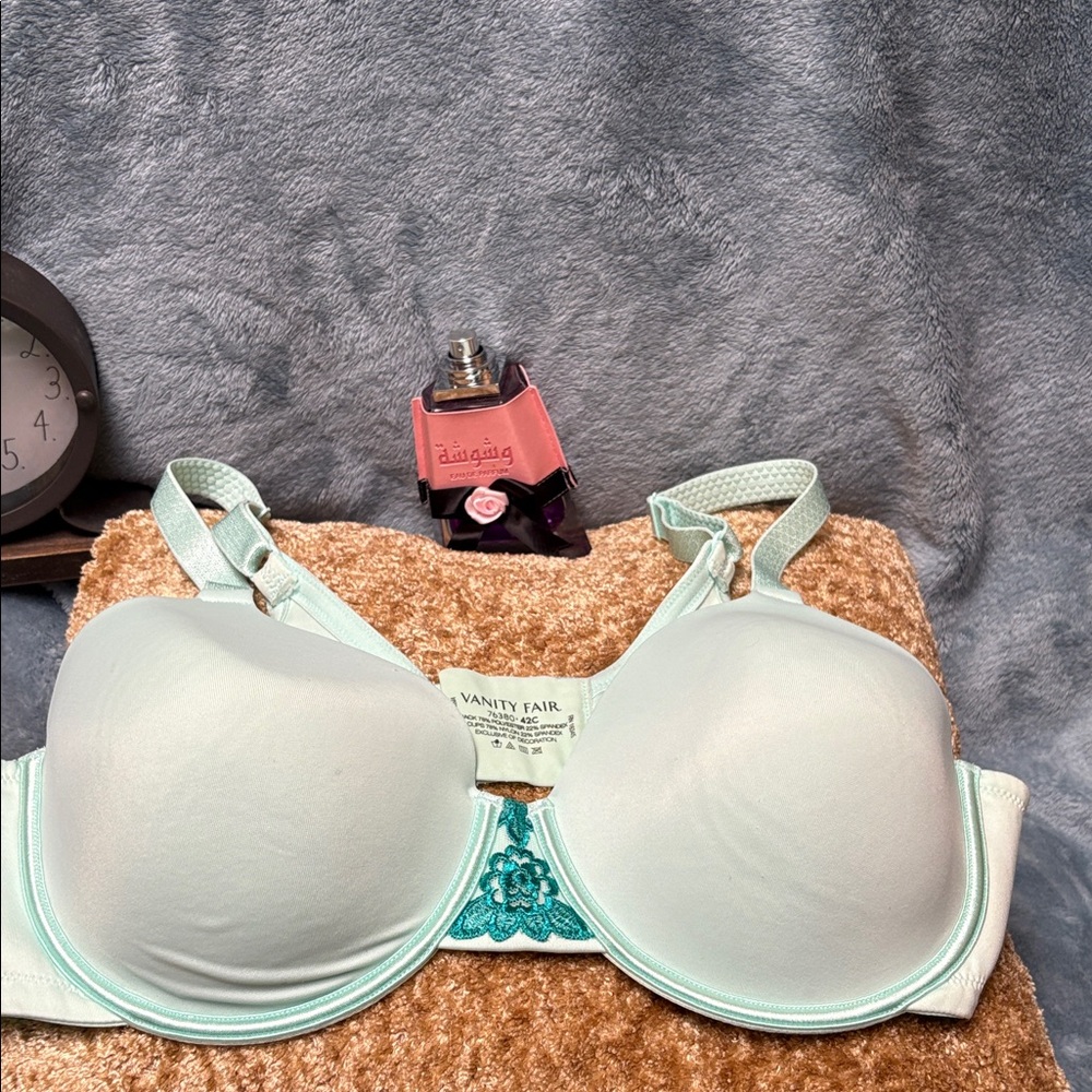 NEW Vanity Fair Mint Green Molded T-Shirt Bra with Teal Accent. 42C Excellent!